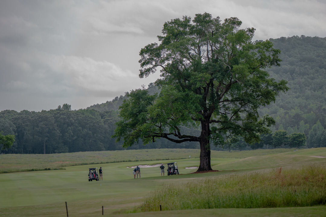 Farmlinks_2024_-112