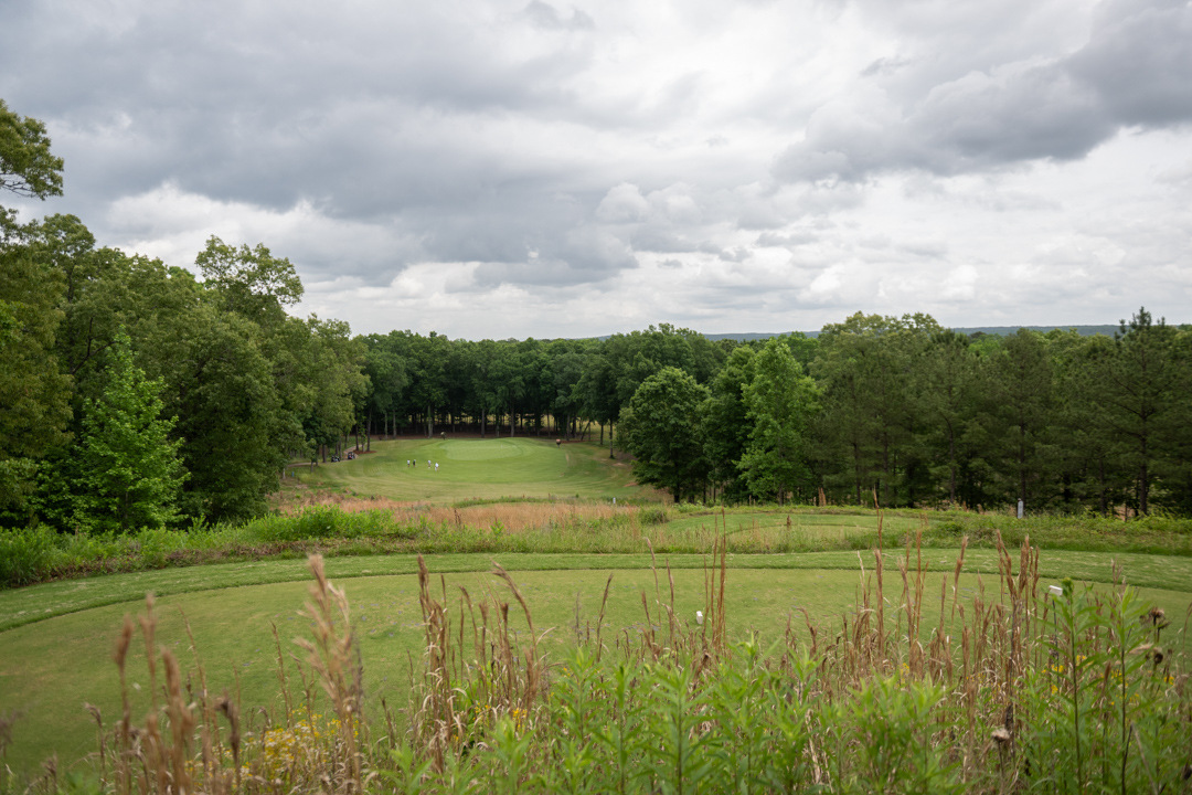 Farmlinks_2024_-38
