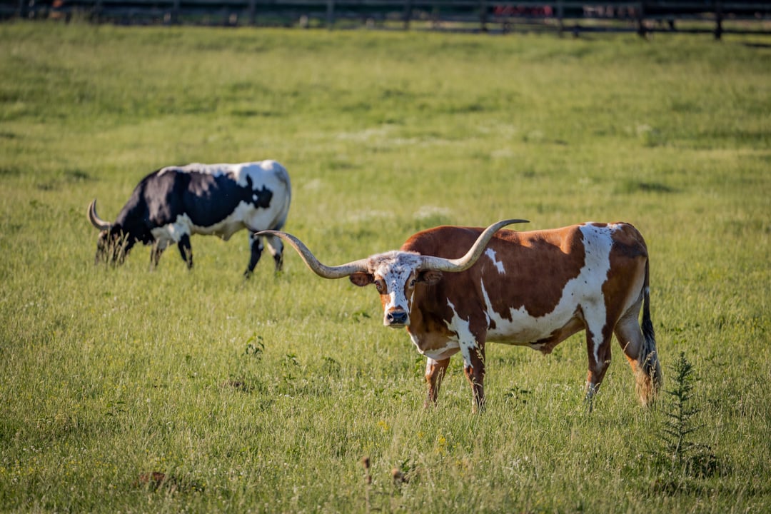 FarmLinks-001