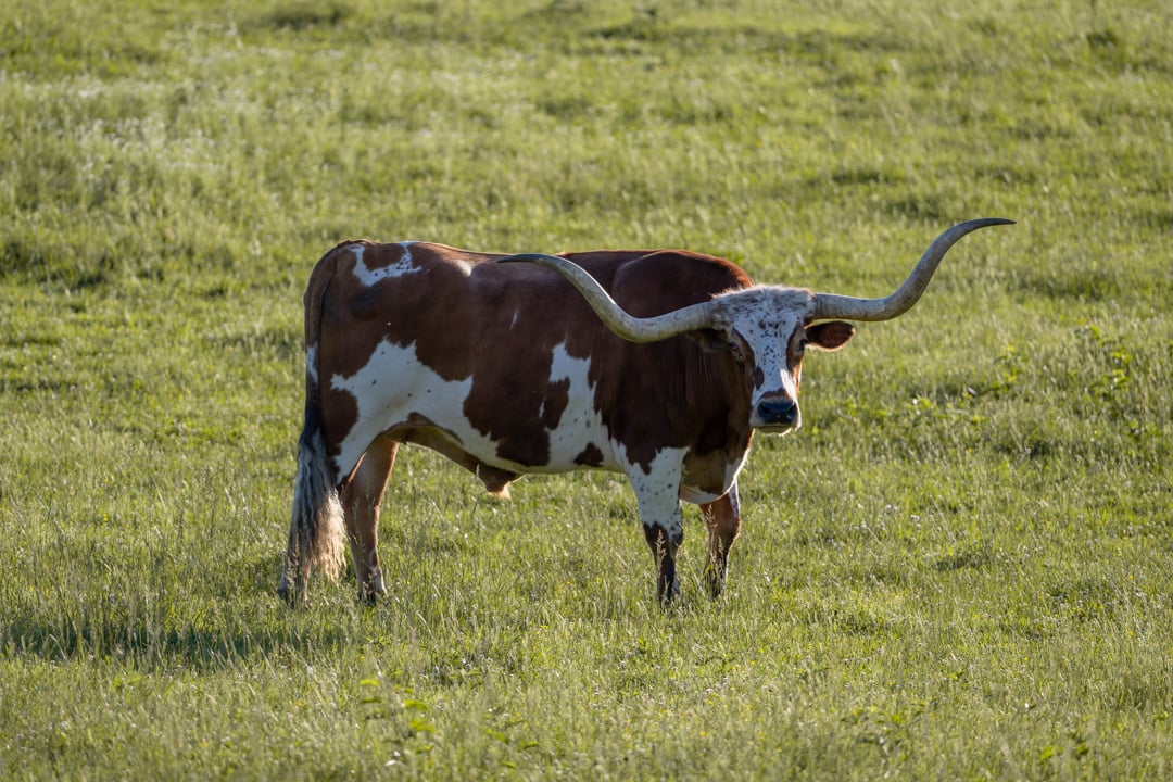 FarmLinks-002