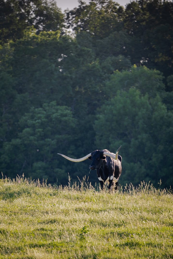 FarmLinks-003