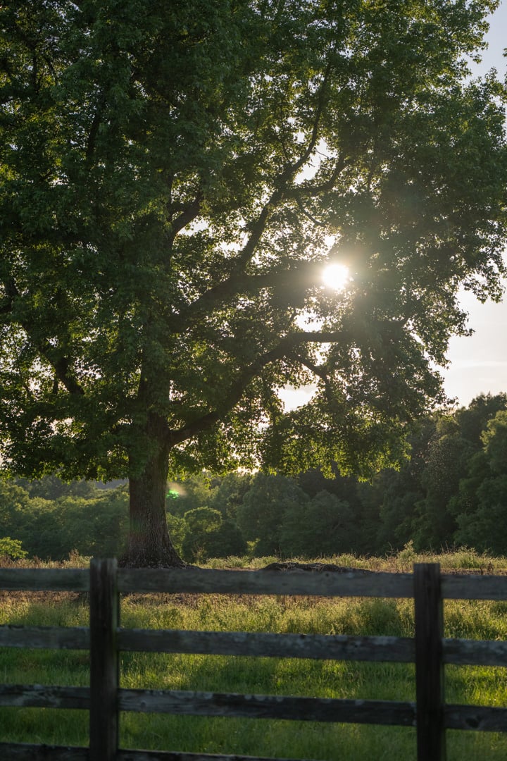 FarmLinks-004