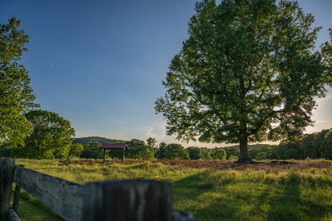 FarmLinks-006