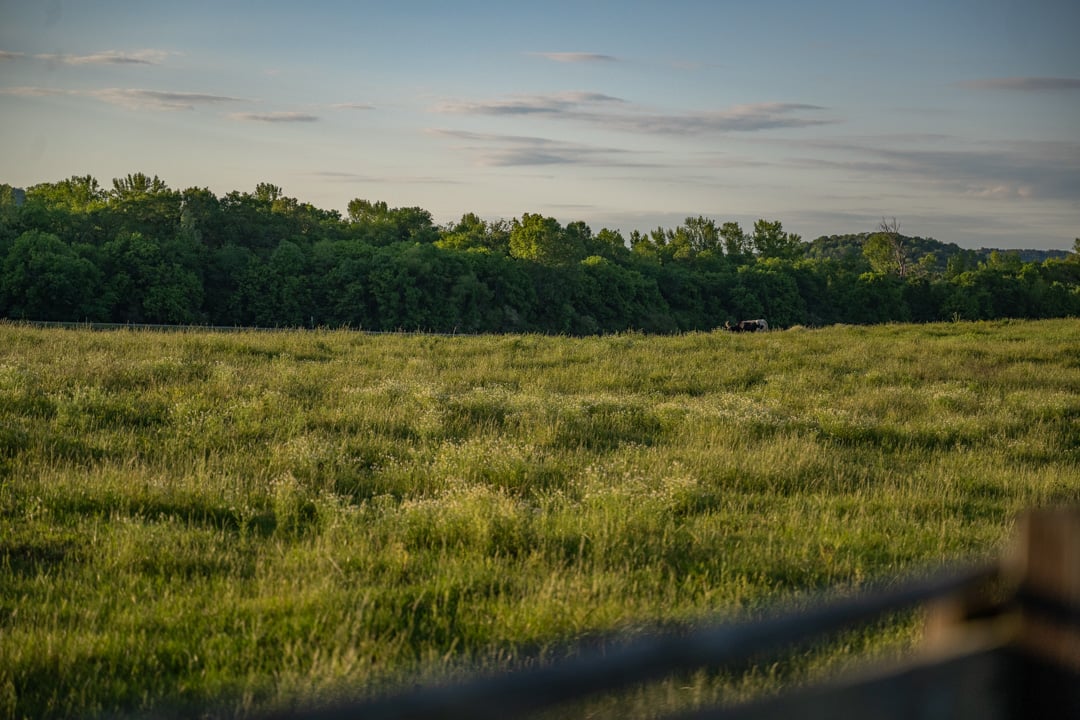 FarmLinks-008