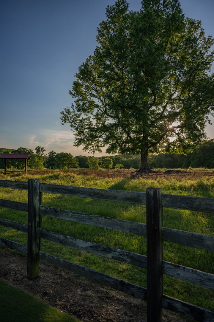 FarmLinks-009